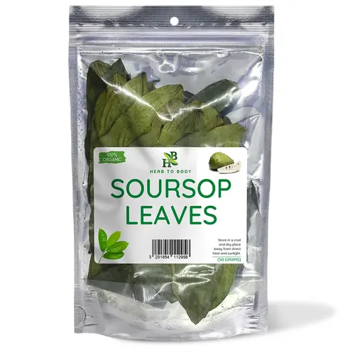 Soursop Leaves –  50 g, 4 oz and 1lb | Dried Whole Leaf Herbal Tea | Herb To Body