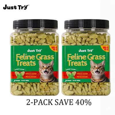 Just Try 2PCS Cat Treats for Indoor Cats Hairball Control Natural Salmon Healthy Cat Grass Treats Kitten Snacks Training Biscuits Catnip for Cats Dental Care 13.4 OZ