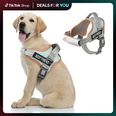 【#DealsForYouDays】AUROTH No Pull Dog Harness Straps, Safety Harnesses for Dogs – Soft Padded Service Vest, Reflective, Adjustable, Easy On & Off – Ideal for Walking & Training, Fits Small, Medium & Large Dogs