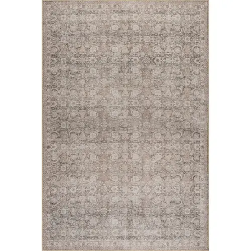 Hillstone Collection Delphi Traditional Vintage Medallion Art Area Rug - Rectangular Rug for Bedroom, Entryway Decor, Aesthetic Home Decor Items
