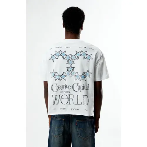 Pacsun Men's Creative Capital Cropped Boxy T-Shirt
