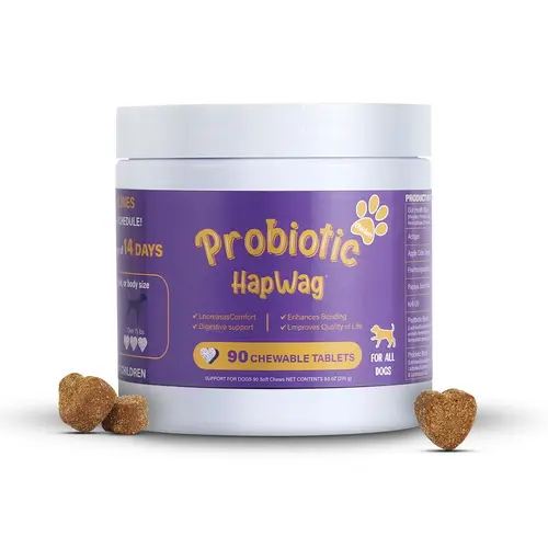 HAPWAG 8-in-1 Multivitamin Soft Chews for Dogs - Probiotics, Gut & Immune Support - Chicken Flavor - 90 Treats - Summer Vibes for Pet Lovers