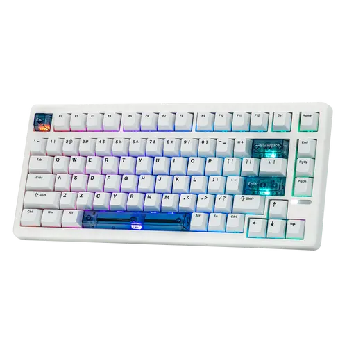 EPOMAKER HE80 Mechanical Gasket Keyboard - Compact Modern Wired Keyboard, 8000 Polling Rate, 32000 Scan Rate, Low Latency, DKS, SOCD, Programmable South-Facing RGB, Hot-Swappable, Keycap Design, for FPS Gaming, Multi-Platform Computer Desk Accessory, Rgb