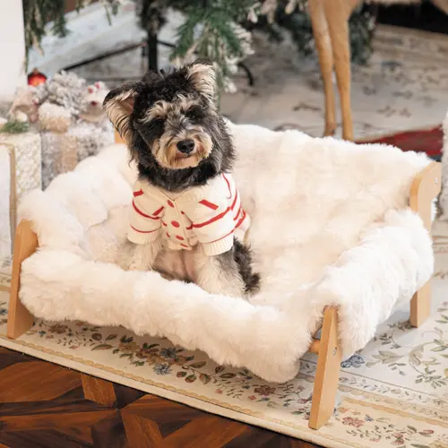 Raised Pet Sofa Bed for Indoor Cats & Small Dogs - Durable Wooden Frame, Fluffy Washable Cushion, Machine-Washable Modern Pet Furniture Lounge Chair