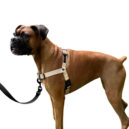 ShawnCo | Dream Walk No-Pull Dog Harness- Adjustable, Comfortable, Easy to Use Pet Halter to Help Stop Pulling for Small, Medium and Large Dogs