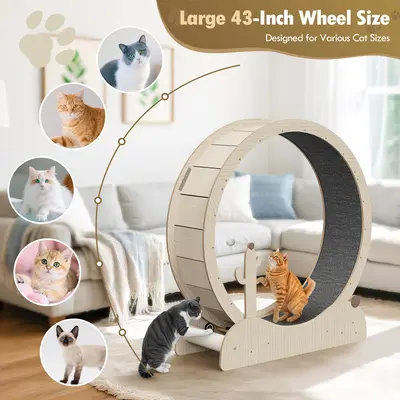 Segawe Large Cat Running Wheel - 43-47 in Natural Wood Treadmill for Indoor Cats, with Enhanced Safety Lock, Paw Guard, and Safe Spin for Active Play,summerwins