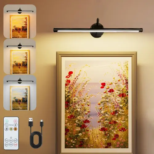 USB Rechargeable Wall Mounted Light, Dimmable Picture Light with Remote Control, Novelty Lighting for Wall Painting, Gallery Art, Painting, Portrait, Decorative Wall Lamp, Elegant Lighting, Dimmable Wall Sconce, Decorative Lights, Dimmable Wall Lamps