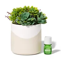 Lifelines Rechargeable Fauxe Plant Aroma Diffuser