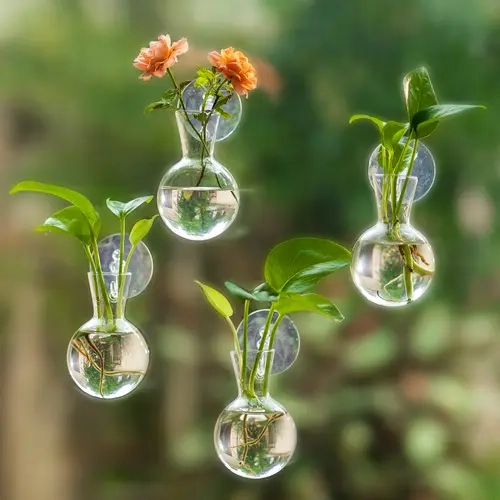 Nuptio 4-Piece Transparent Glass Plant Propagation Station Bulb Vase Set - Hydroponic Hanging Terrarium, Decorative Vase for Herb Cuttings, Table Decor, Home Decoration, Home Supplies (Indoors Gardening Setup)
