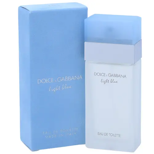 DOLCE & GABBANA Women's Light Blue Eau de Toilette, 0.84oz Floral Woody Fragrance with Citrus, Rose-Bamboo Heart, Cedar & Jasmine Notes, Mediterranean Escape Floral Scents Women's Perfume for Daily Use & Gifting