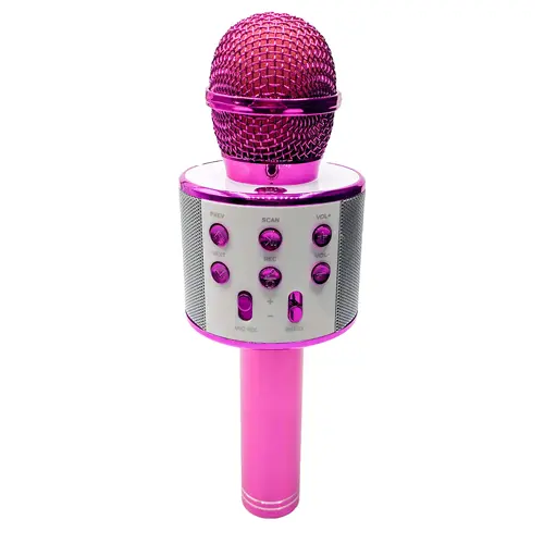 Perfect Pitch Karaoke Wireless Microphone & Recorder