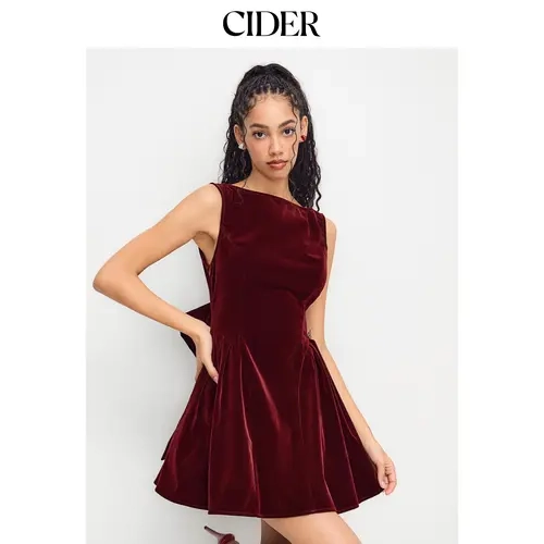 Cider Velvet Boat Neck Bow Backless Mini Dress