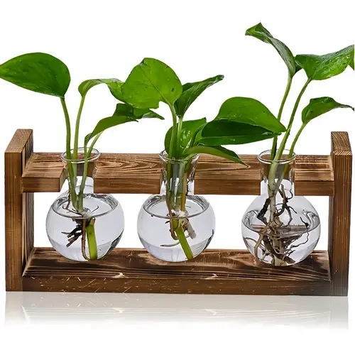 3-Bulb Glass Vases Desktop Plant Propagation Station with Retro Wooden Base - 3-Vase Hydro Gardening Setup, Flower Pots and Planters, Vintage Home Decor, Perfect Unique Gardening Gift for Plant-Loving Women