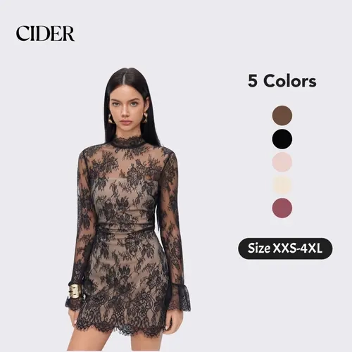Cider Lace Stand Collar Long Sleeve Straight Mini Dress