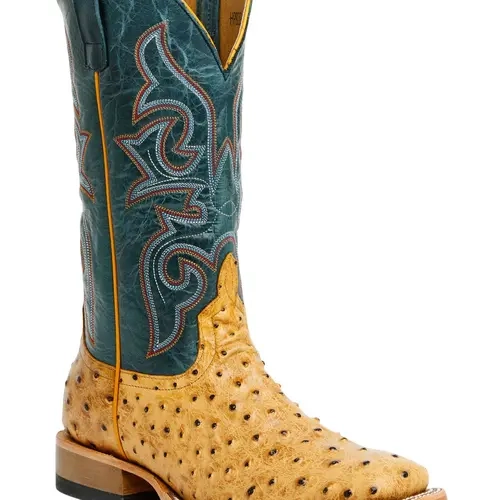 Horse Power Men's Men'S Saddle Ranch Ostrich Print Tall Western Boot - Hp8083
