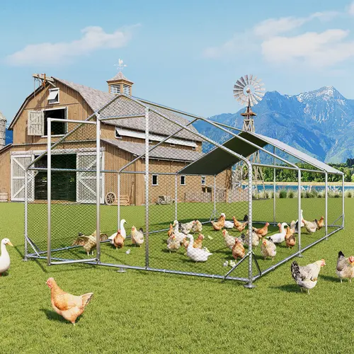 Aoxun Galvanized Steel Walk-In Chicken Coop - 1-Inch Diameter Coated Metal Outdoor Enclosure with 420D Oxford Fabric Cover, Spire Roof, Pocket, Lock Door Security, Hex Mesh, Rainproof, Predator Safe, Easy-Maintenance Farm Cage for Chickens, Geese