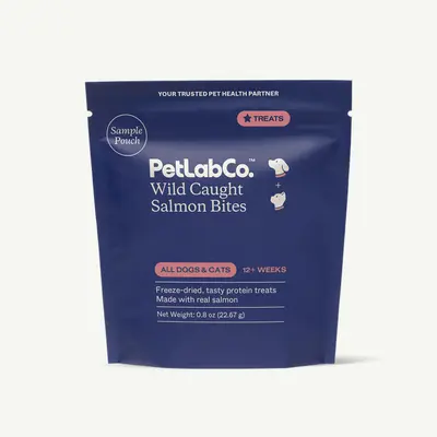 Wild Caught Salmon Bites - freeze-dried cat & dog treats