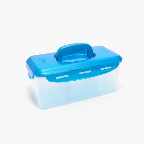 LocknLock Divided Rectangle W/ Handle Lid
