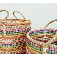 Ode to Color by Lori Weitzner S/2 Baskets Small & Medium