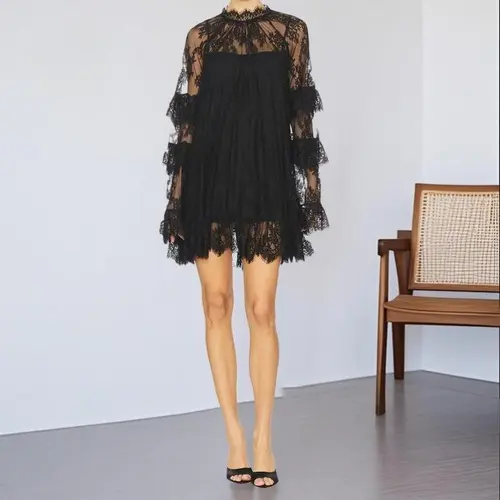 2026 New Arrival Sheer Lace Long Sleeve Mini Dress for Women | Round Neck Cocktail Party Dress, Perfect for Valentine's Day Date Night & Spring Gatherings