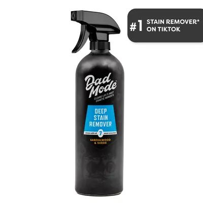 Dad Mode Deep Laundry Stain Eliminator - 7-Enzyme Extreme Mess 16oz (LVO) Spray, Sandalwood & Suede Scented All Purpose Cleaner, Household Cleaning Spray Deodorizer