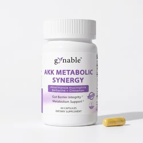 Gynable AKK Probiotic & Berberine Caffeine-Free Gut Support Capsules - 27mg Akkermansia Muciniphila, Ceylon Cinnamon, Chromium, Bloating Relief, AMPK Booster, Gluten-Free Vegan, Metabolic Health, 30 Servings, USA-Made Digestive Nutritional Supplements