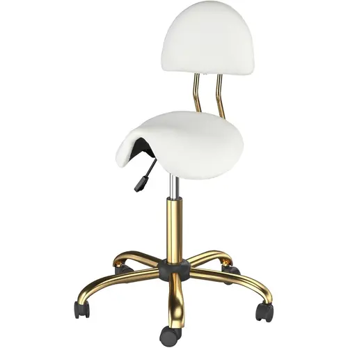 OmySalon Height-Adjustable Saddle Stool - 360° Swivel, Sit-to-Stand, Rotatable, Rolling Wheels, Adjustable Padded Commercial Chair with 5-Claw Base, Backrest, Spine Support, 400lbs Capacity for Salon, Clinic, 360° Swivel Chairs & Stools, Sit-To-Stand Chai