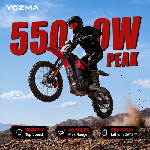 In 10 Pro Ebike for Teens & Adults e Bike Off Road(Battery & Bike Ship Separately)