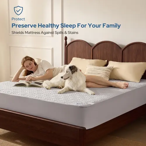 LIVE【BEDLORE】Big Copper Coin Pattern Waterproof Mattress Protector, Soft & Dirt-Proof Fabric with Deep Pockets (Fits 6–18 Inches), Ideal for Bedroom, College Dorm & Hotel Use