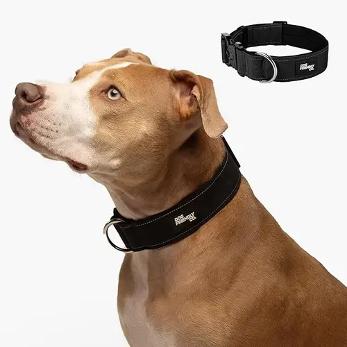 Dog Friendly Co. Tactical Dog Collar - Reflective Collars, Quick-Release Buckle, Neoprene-Lined Chafe-Resist Pad, Comfortable Wear, Metal D-Ring, Waterproof Webbing, XS-28in Neck Sizes, Built to Last, Adjustable Design