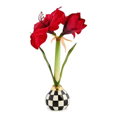 MacKenzie- Childs Amarylis Bulb Arrangement