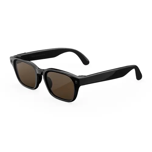 Meta Adventurer Standard Classic Black Brown Lenses