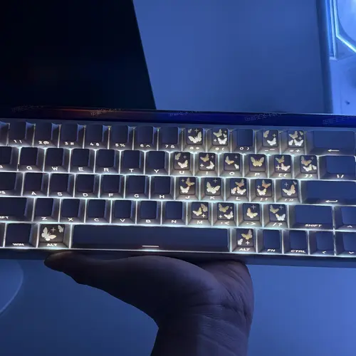 21-Key Butterfly PBT Plastic Decorative Keycap Set - Side-Printed RGB Shine-Through, Mechanical Aesthetic, DIY Layout for Custom PC Accessory (Fits RGB/Decorative Keyboards, Keyboard Not Included), Decorative Keycaps Keyboards