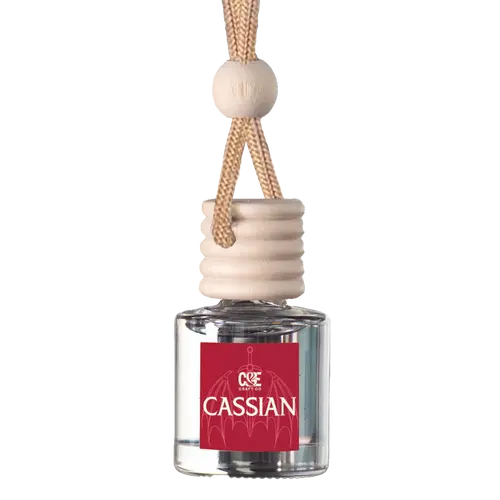 C&E Officially Licensed ACOTAR Character Car Fresheners | 60+ Day Long-Lasting Hanging Car Diffuser | Rhysand, Feyre, Nesta, Cassian, Azriel, Elain, Night Court | A Court of Thorns and Roses Car Accessories & BookTok Gifts