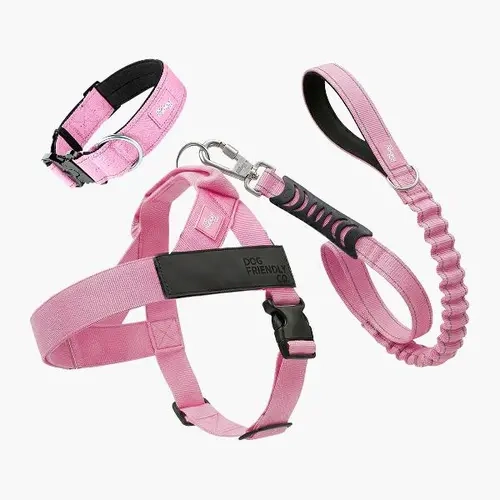 Dog Friendly Co. 3-Piece Classic Rope Walk Set Bundle - Multi-Size, No-Pull, Choke-Free Neoprene Collar, 47in Leash, Frenchie Harness, Fits XXS-XL Breeds (German Shepherd, Dachshund Compatible)