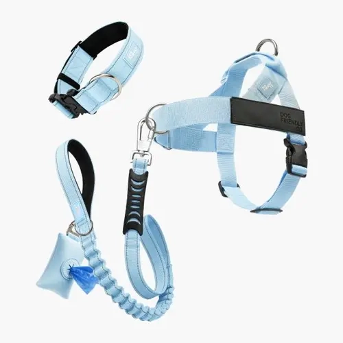 Dog Friendly Co. Adjustable Harness Leash Set - 5-Piece No Pull Kit with Harness, Front D-Ring, Collar, Color-Matched Choke-Free Poop Bag Holder, XXS-XL Sizes for Controlled Dog Walks