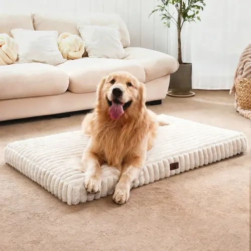 【familyfun】Cozila Modern Orthopedic Dog Bed for Medium & Large Dogs - Multi-Size, High-Density Egg Crate Foam, Waterproof Liner, Washable Removable Cover, Non-Slip Bottom, Solid/Striped Camping Essential, Striped/Solid