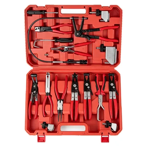 Bourvill 16Pcs Flexible Hose Clamp Removal Tool Kit, Automotive Spring Clamp Pliers, Wire & Flat Band Hose Clamp Remover Precision Hand Tools, Ideal for Car Radiator, Coolant, Heater & Water Pipe Disassembly #summertool