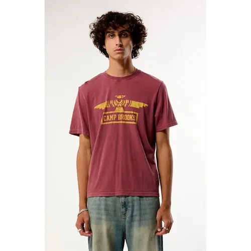 Pacsun Men's Camp Brooks Vintage T-Shirt