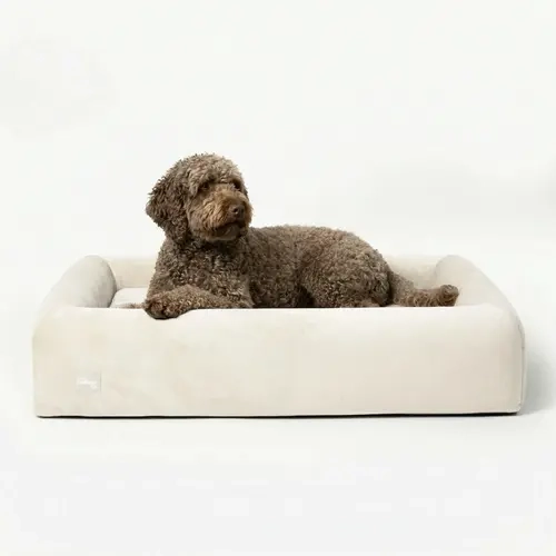Dog Friendly Co. Orthopedic Puppy Bed - Dual-Layer Memory Foam, Supportive Cushion, Minimalist Solid Colors, Washable Water-Resistant Cover, Non-Slip Base, Multi-Size Single Unit (Small to Large)