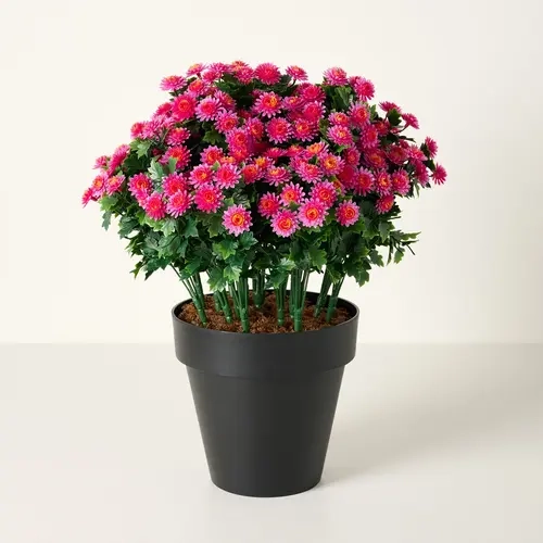 Wicker Park 19" Indoor/Outdoor Potted Faux Mums