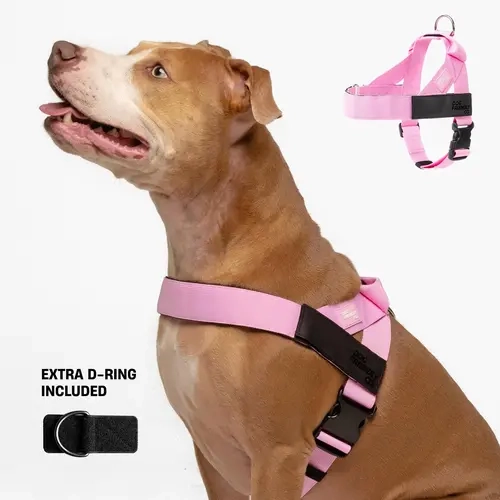 Dog Friendly Co. No Pull Dog Harness Set - Leash Control, Chafe Resistant, Front D-Ring, Front Grip Handle, Choke-Free, 1-Click Easy-On Buckle, Polyester, Multi-Size (XXS-XL)