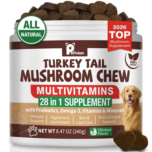 Turkey Tail Mushroom Dog Soft Chews with Probiotics & Natural Mushrooms - Immunity Boost, Gut & Skin, Lipoma, Joint Support Supplement (120 Chews)