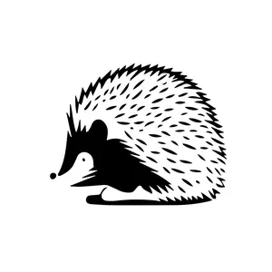 SPITZKANTE