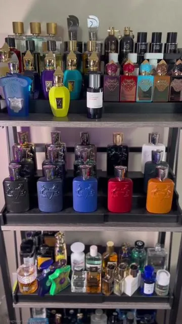 These are some of the best cheap fragrances that you can give someone this Holiday season! #fragrance #cologne #fragrancetiktok #fragrancecollection #colognereview 