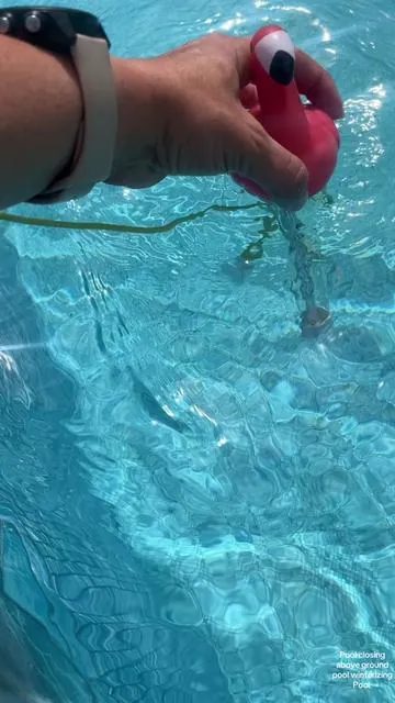 #pool #poolclosing #abovegroundpool #winterizingpool 