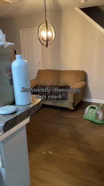 Have a PAWsome day everybody🐾 #Cleantok #realisticcleaning #realistic #couchcleaning #dogbed #cleanwithme #nc #northcarolina #cleaningtiktok #cleaningmotivation #gentlegiant #greatdanesoftiktok #puppytiktok #muddydog #dirty #satisfyingcleaning 