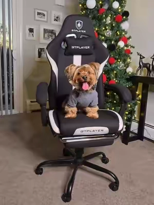 Si vas a invertir en una silla gamer asegurate de aprender de mis errores primero, y lee los reviews de la gente para que no te pase como a mi. De todas maneras si buscas una que sea de buena piel seguro no te pasara lo mismo pero suelen ser costosas. una silla gamer es una excelente opción para regalar de navidad o cumpleaños,  solo asegurate de que valga la pena #gamer #husband #wife #christmasgifts #christmas #christmasgiftsforhim #TikTokShopBlackFriday #TTSLevelUp #tiktokshopholidayhaul #TikTokShopCyberMonday #gamingchair 