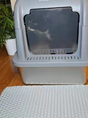 @meowant.us  #meowantlitterbox  #litterbox  #cats #catslovers  #catoftiktok  #litter #tiktokshop #PetsOfTikTok 