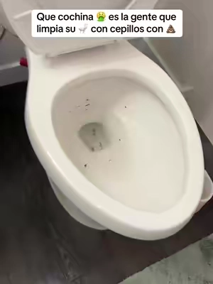 No sean cochinos y usen los cepillos sucios para limpiar su toilet. Mejor les recomiendo esto. #fyp #parati #latinos #hispanos #viral #titkokshop #mexicantiktok #fypシ #fypシ゚viral #toilet #toiletcleaner #toiletbrushclean #bathroom #limpieza #limpiezadecasa #baños #chiste #tiktokclean 